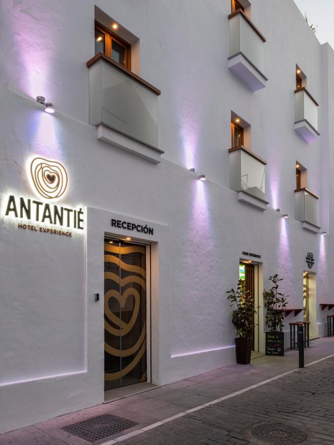 Hotel Antantie Conil De La Frontera Zewnętrze zdjęcie